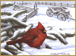 winter cardinal scene